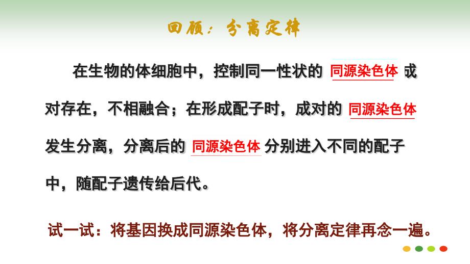 基因在染色体上 高一下学期生物人教版必修二_第3页