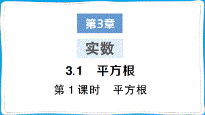 八年级数学上册作业课件第3章 实数