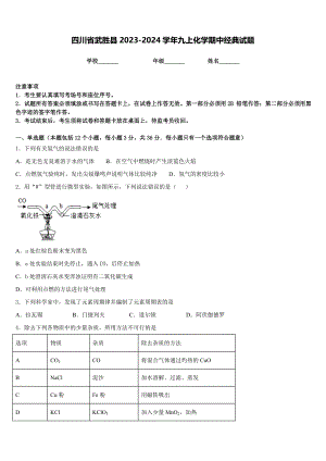 四川省武胜县2023-2024学年九上化学期中经典试题含答案