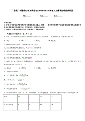 广东省广州市南沙区博海学校2023-2024学年九上化学期中经典试题含答案