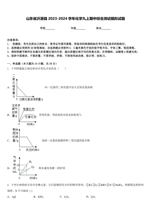 山东省沂源县2023-2024学年化学九上期中综合测试模拟试题含答案