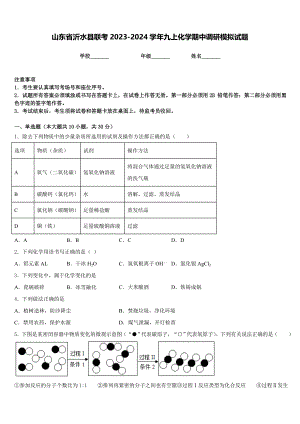 山东省沂水县联考2023-2024学年九上化学期中调研模拟试题含答案