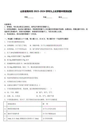 山东省青州市2023-2024学年九上化学期中预测试题含答案
