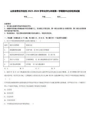山东省枣庄市名校2023-2024学年化学九年级第一学期期中达标检测试题含答案