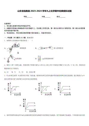 山东省临朐县2023-2024学年九上化学期中经典模拟试题含答案