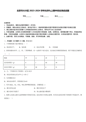 北京市大兴区2023-2024学年化学九上期中综合测试试题含答案