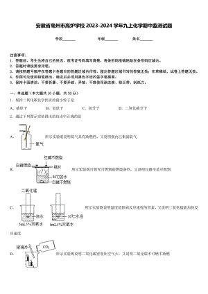 安徽省亳州市高炉学校2023-2024学年九上化学期中监测试题含答案