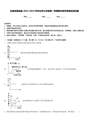 安徽省蒙城县2023-2024学年化学九年级第一学期期中教学质量检测试题含答案