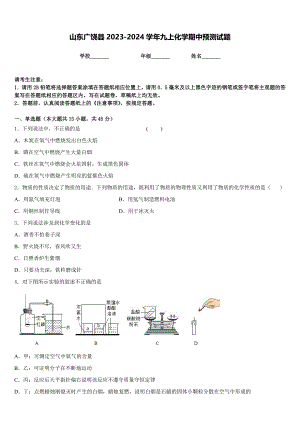 山东广饶县2023-2024学年九上化学期中预测试题含答案