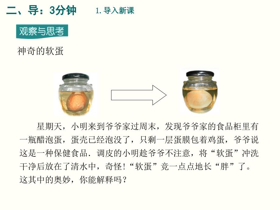 2022-2023学年人教版物理九年级上学期13.1 分子热运动_第4页