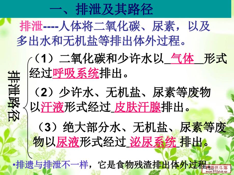 人体内废物的排出.2课时(最新)市公开课一等奖省赛课微课金奖PPT课件_第3页