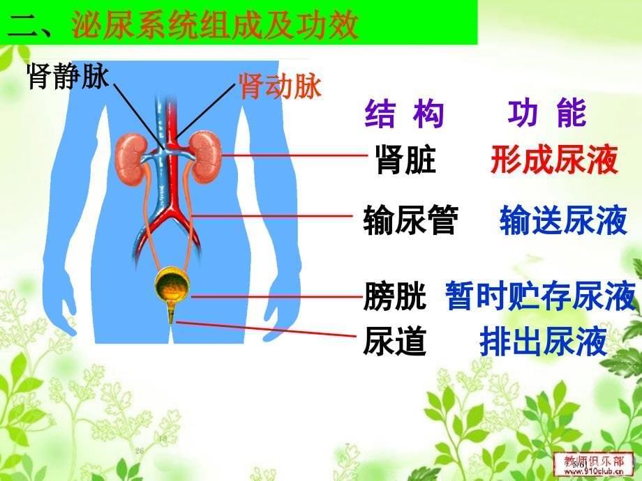 人体内废物的排出.2课时(最新)市公开课一等奖省赛课微课金奖PPT课件_第5页