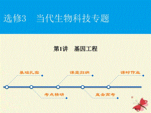 高考生物复习现代生物科技专题第1讲基因工程选修全国公开课一等奖百校联赛示范课赛课特等奖PPT课件