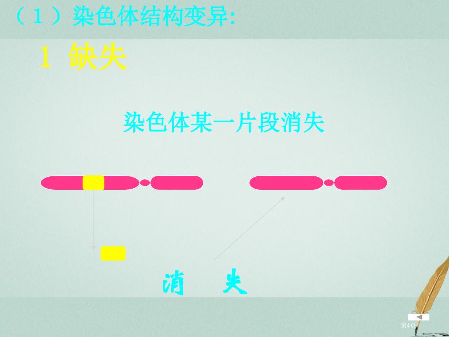 高中生物5.2染色体变异省公开课一等奖新名师优质课获奖PPT课件_第4页