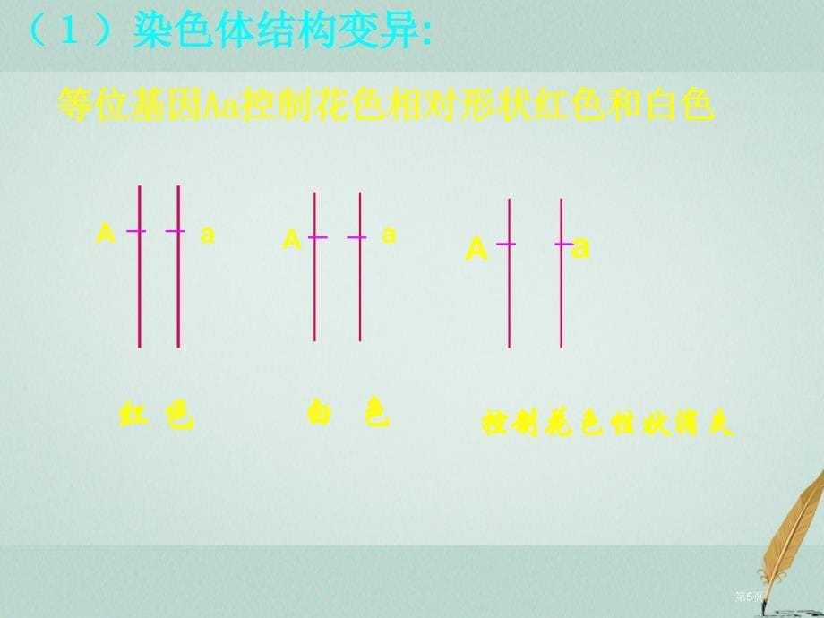 高中生物5.2染色体变异省公开课一等奖新名师优质课获奖PPT课件_第5页