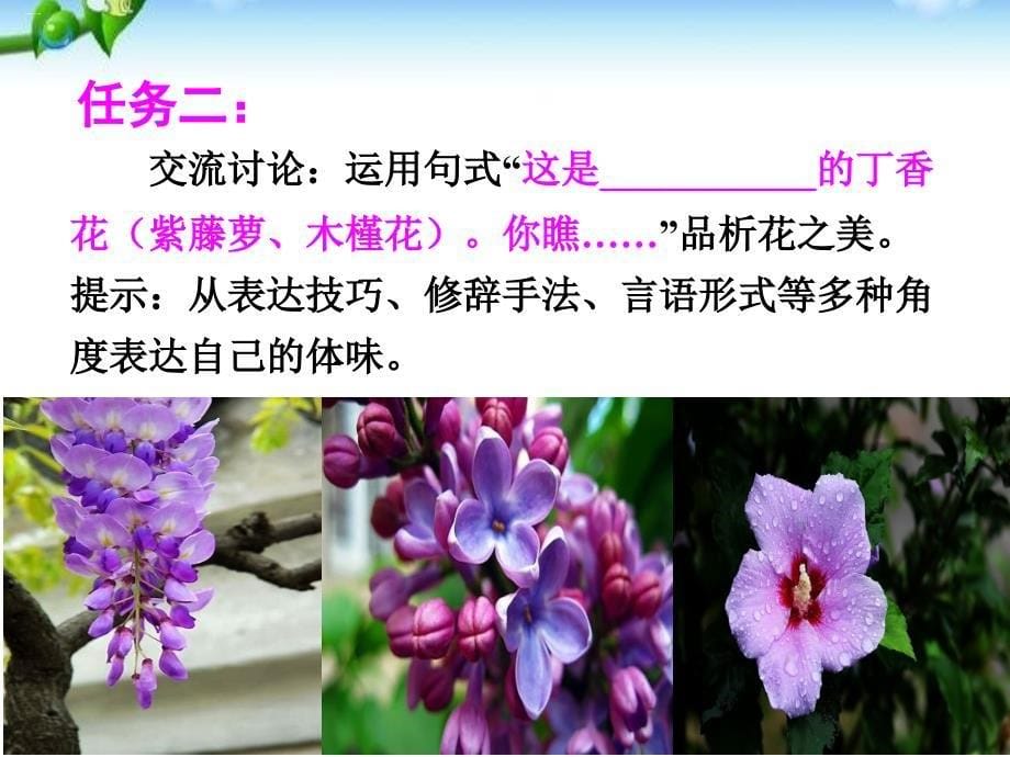 《紫藤萝瀑布》《丁香结》《好一朵木槿花》_第5页