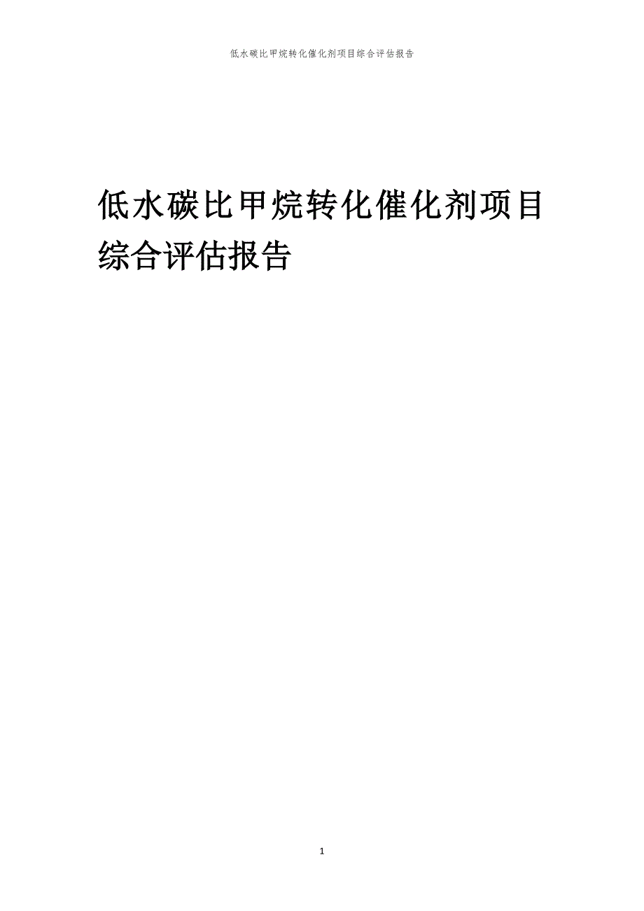 低水碳比甲烷转化催化剂项目综合评估报告_第1页