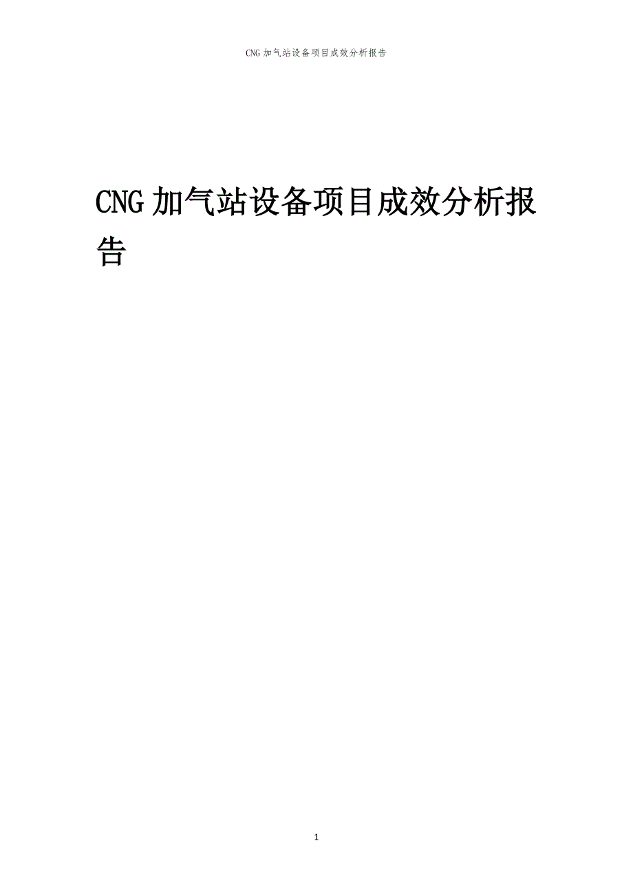 CNG加气站设备项目成效分析报告_第1页