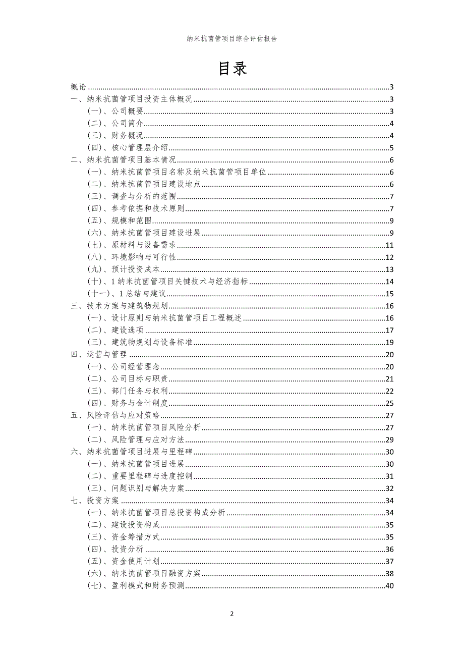 纳米抗菌管项目综合评估报告_第2页