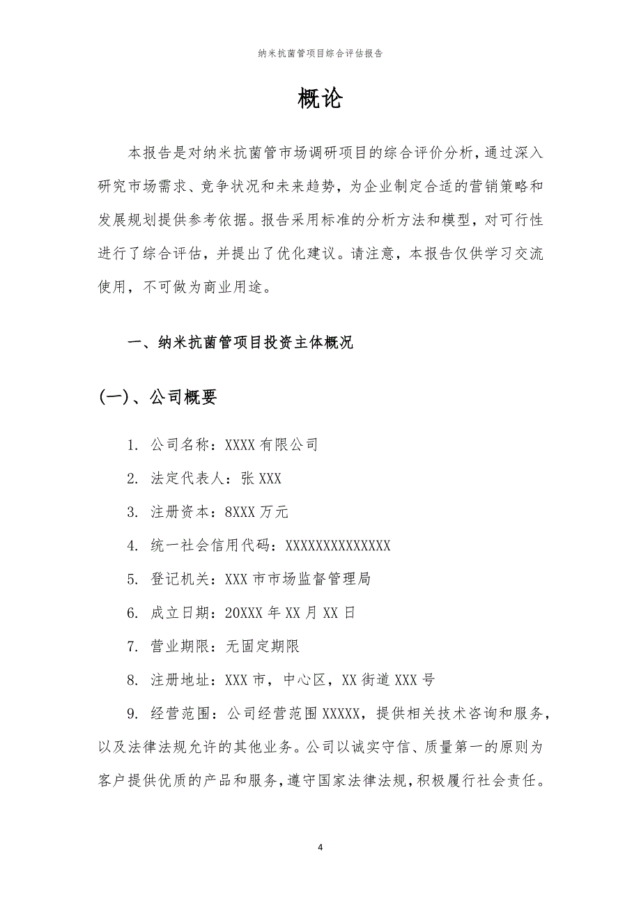 纳米抗菌管项目综合评估报告_第4页