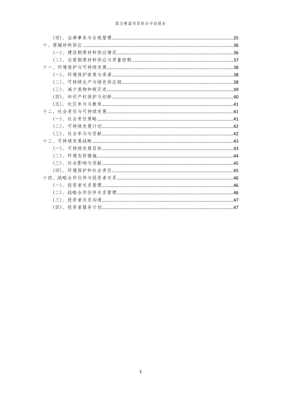 固态硬盘项目综合评估报告_第3页