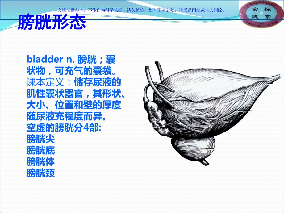 膀胱相关知识学习和探讨课件_第1页