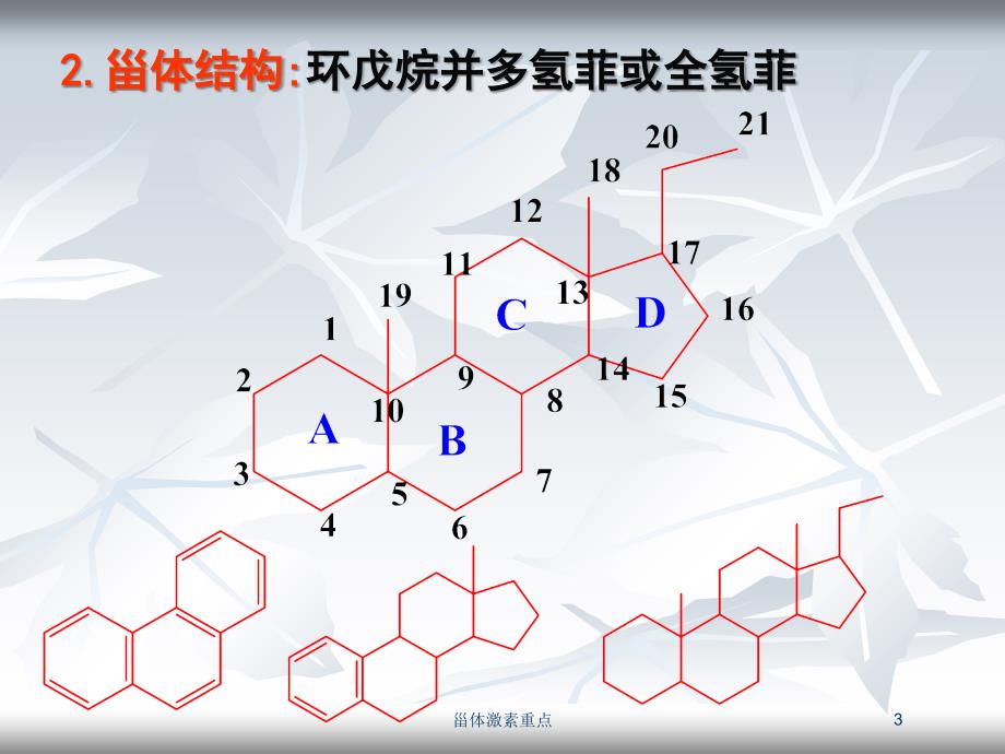 甾体激素重点培训课件_第3页