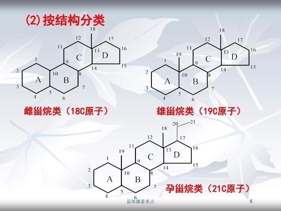 甾体激素重点培训课件_第5页