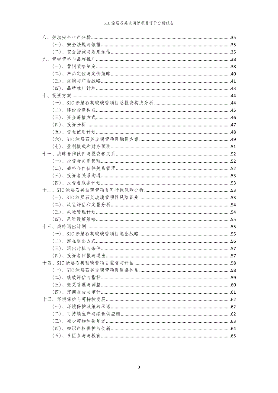 SIC涂层石英玻璃管项目评价分析报告_第3页