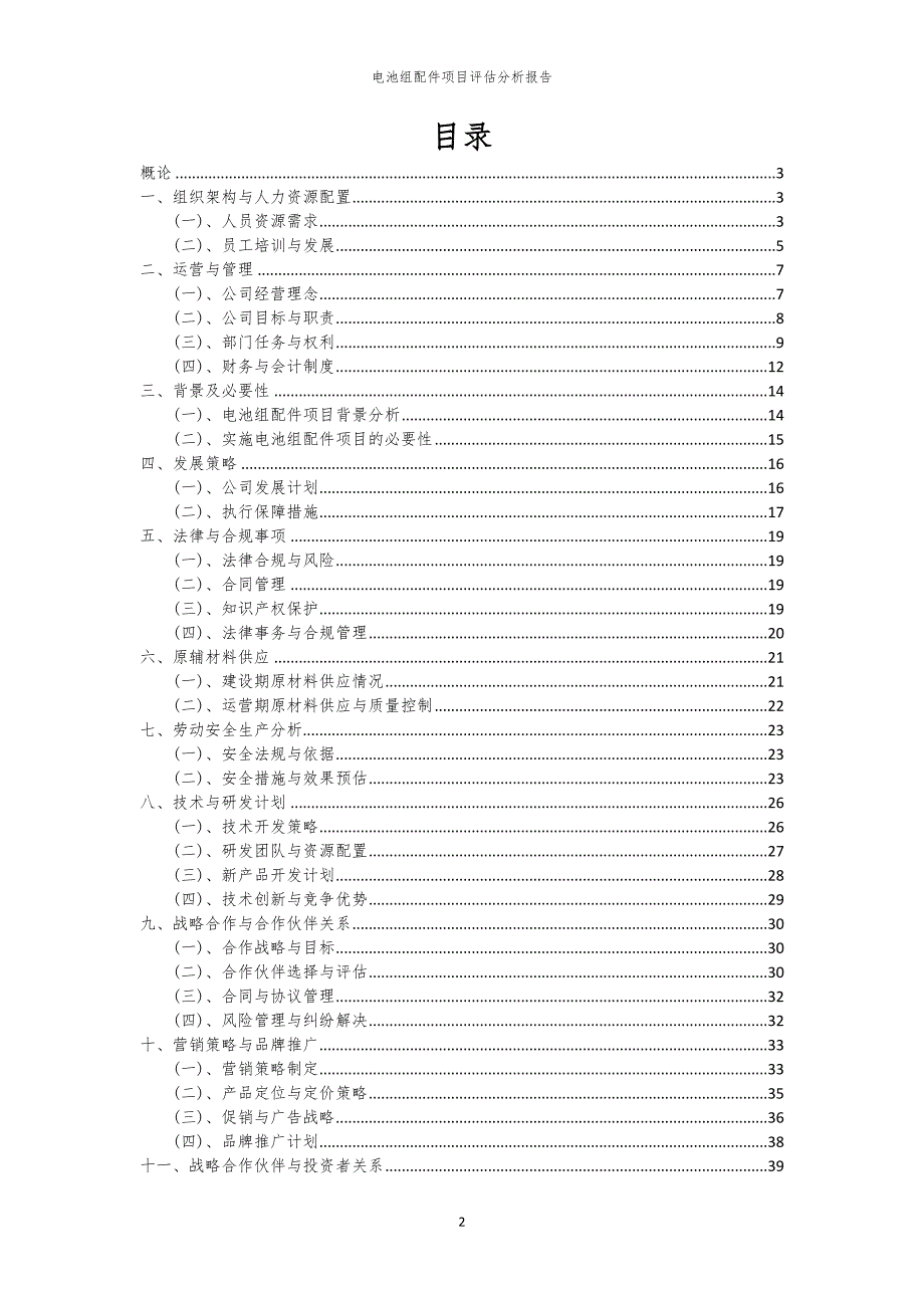 电池组配件项目评估分析报告_第2页