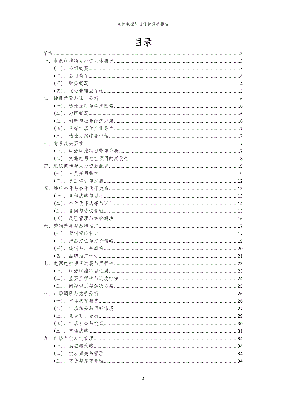 电源电控项目评价分析报告_第2页