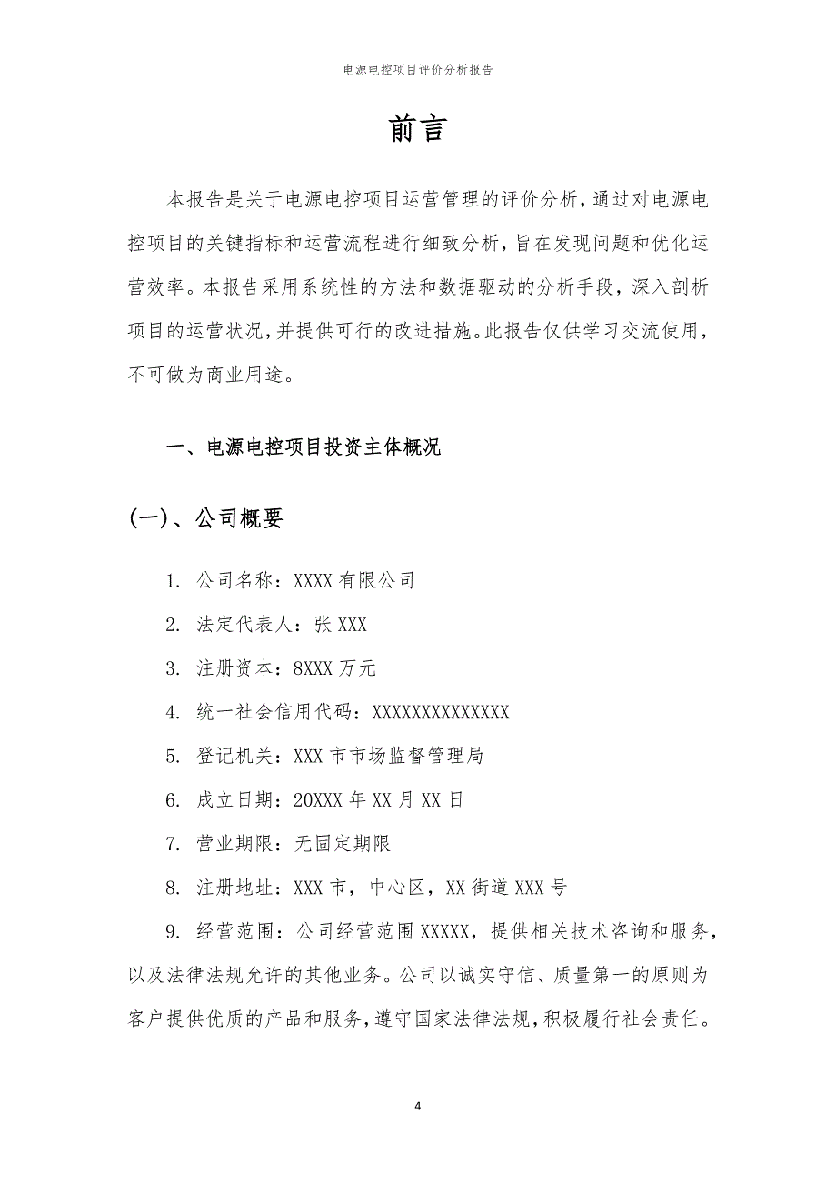 电源电控项目评价分析报告_第4页