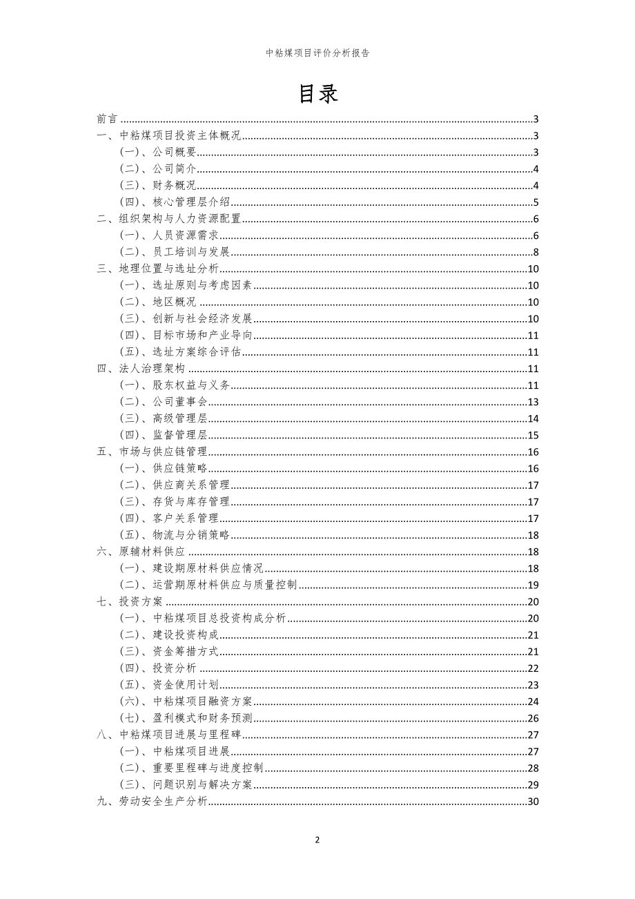 中粘煤项目评价分析报告_第2页