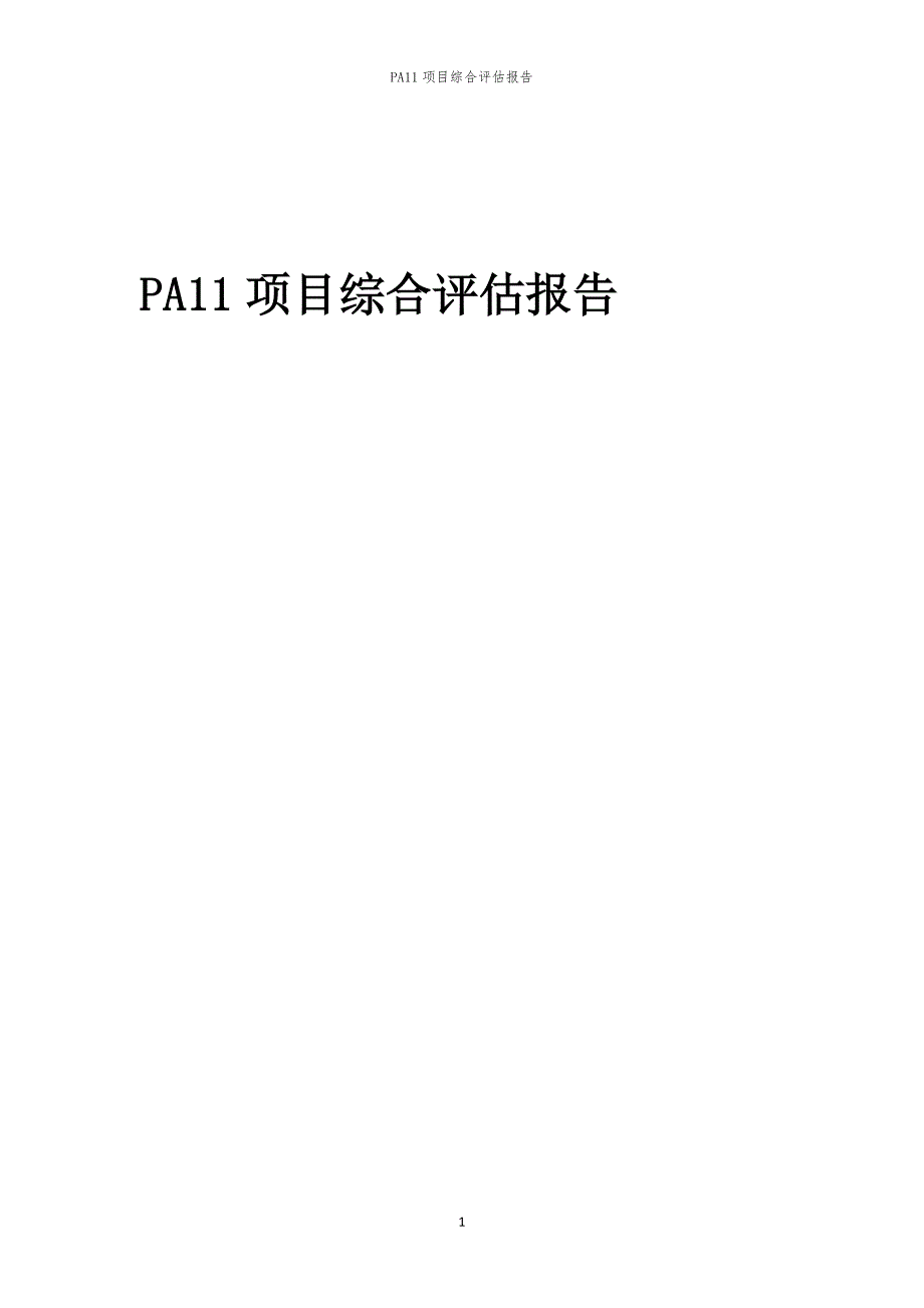 PA11项目综合评估报告_第1页