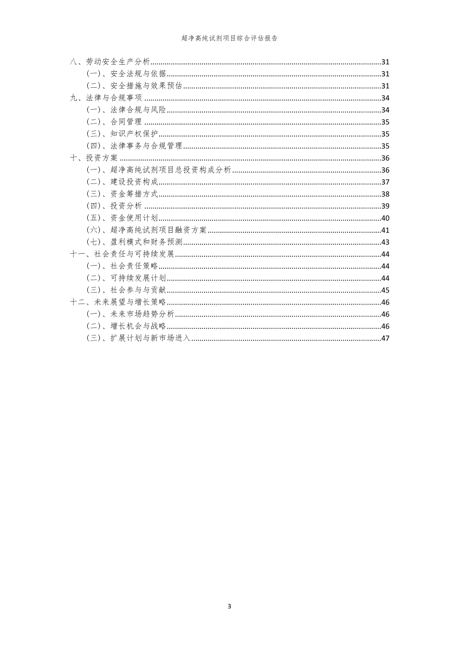 超净高纯试剂项目综合评估报告_第3页