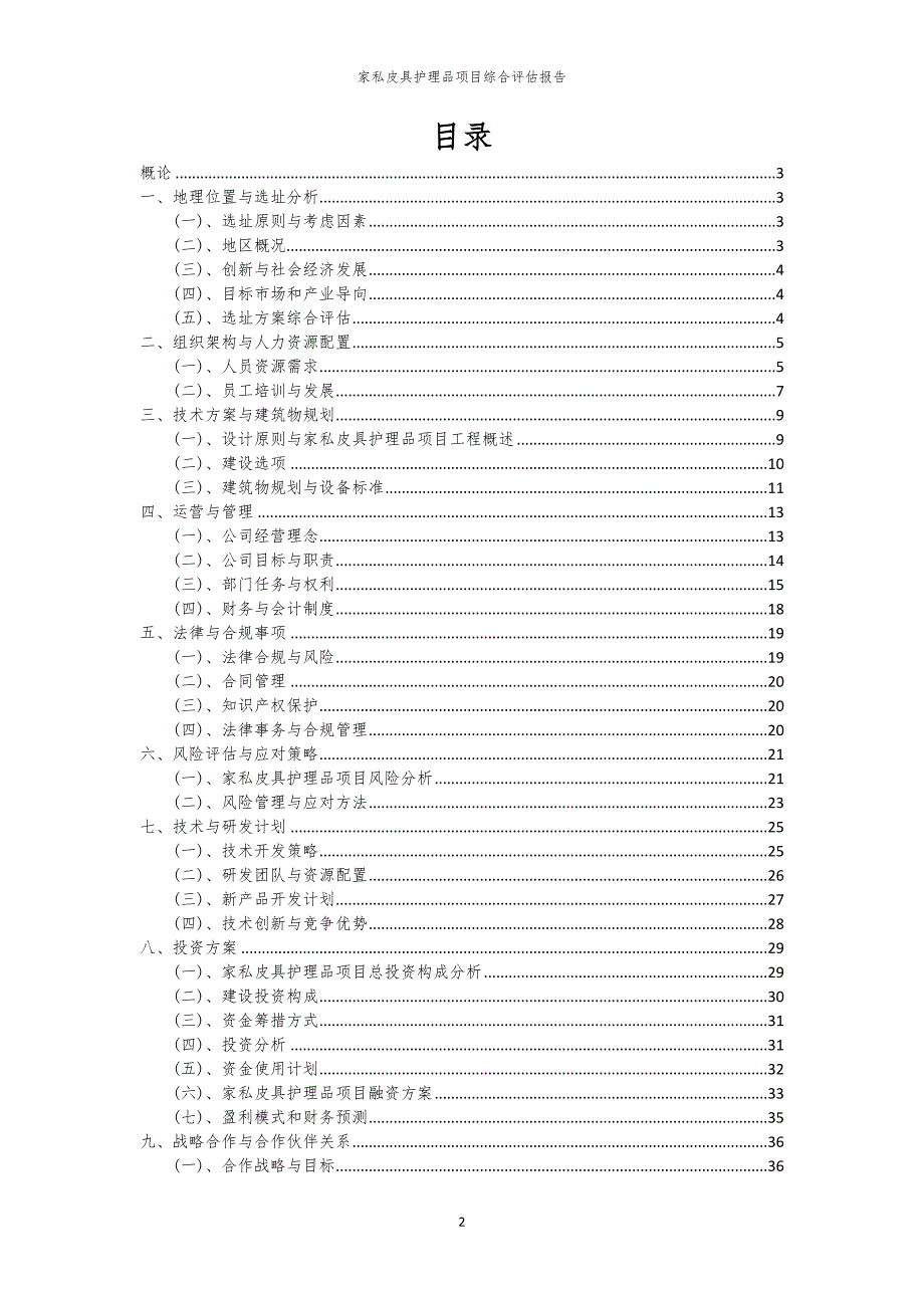 家私皮具护理品项目综合评估报告_第2页