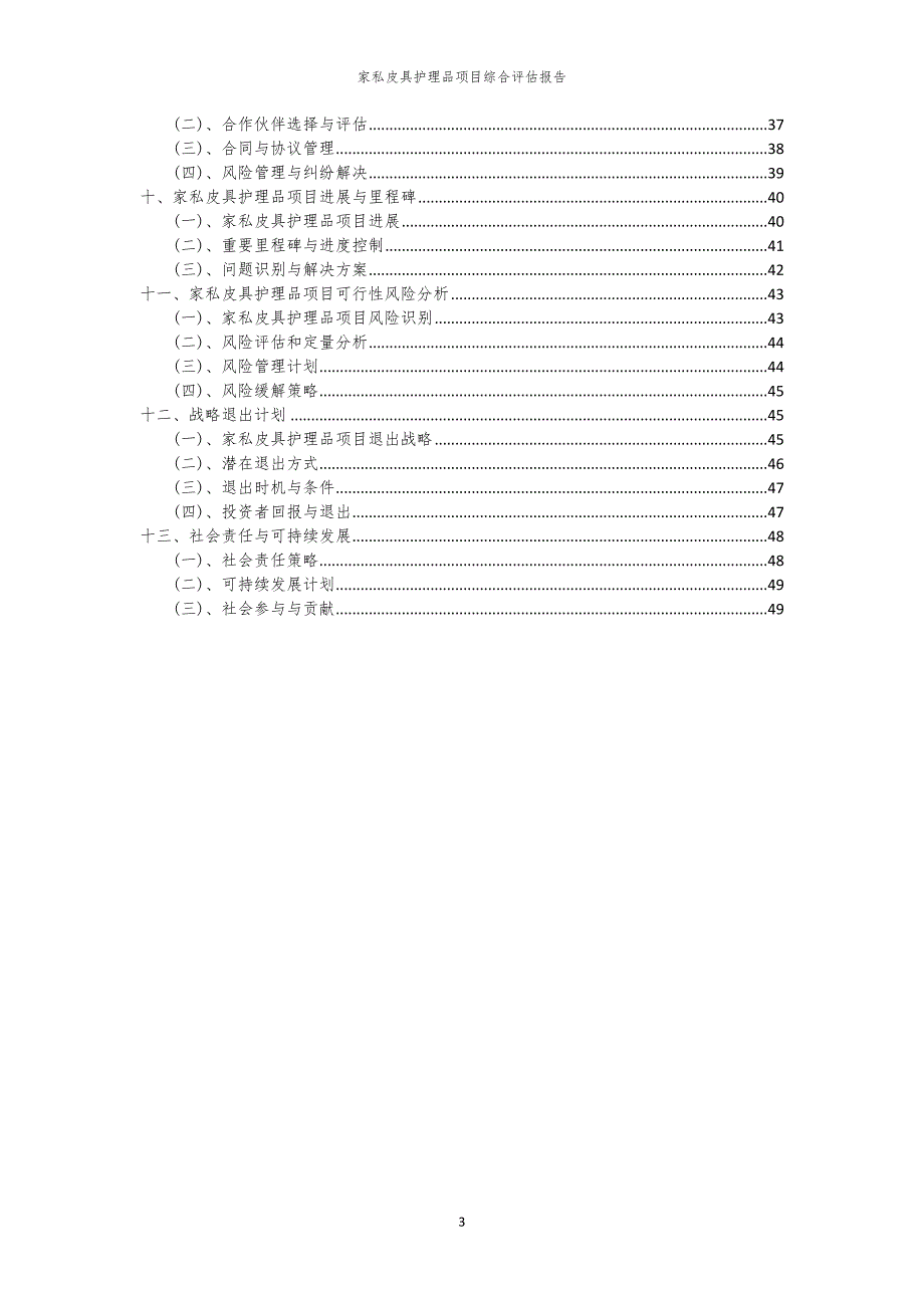 家私皮具护理品项目综合评估报告_第3页