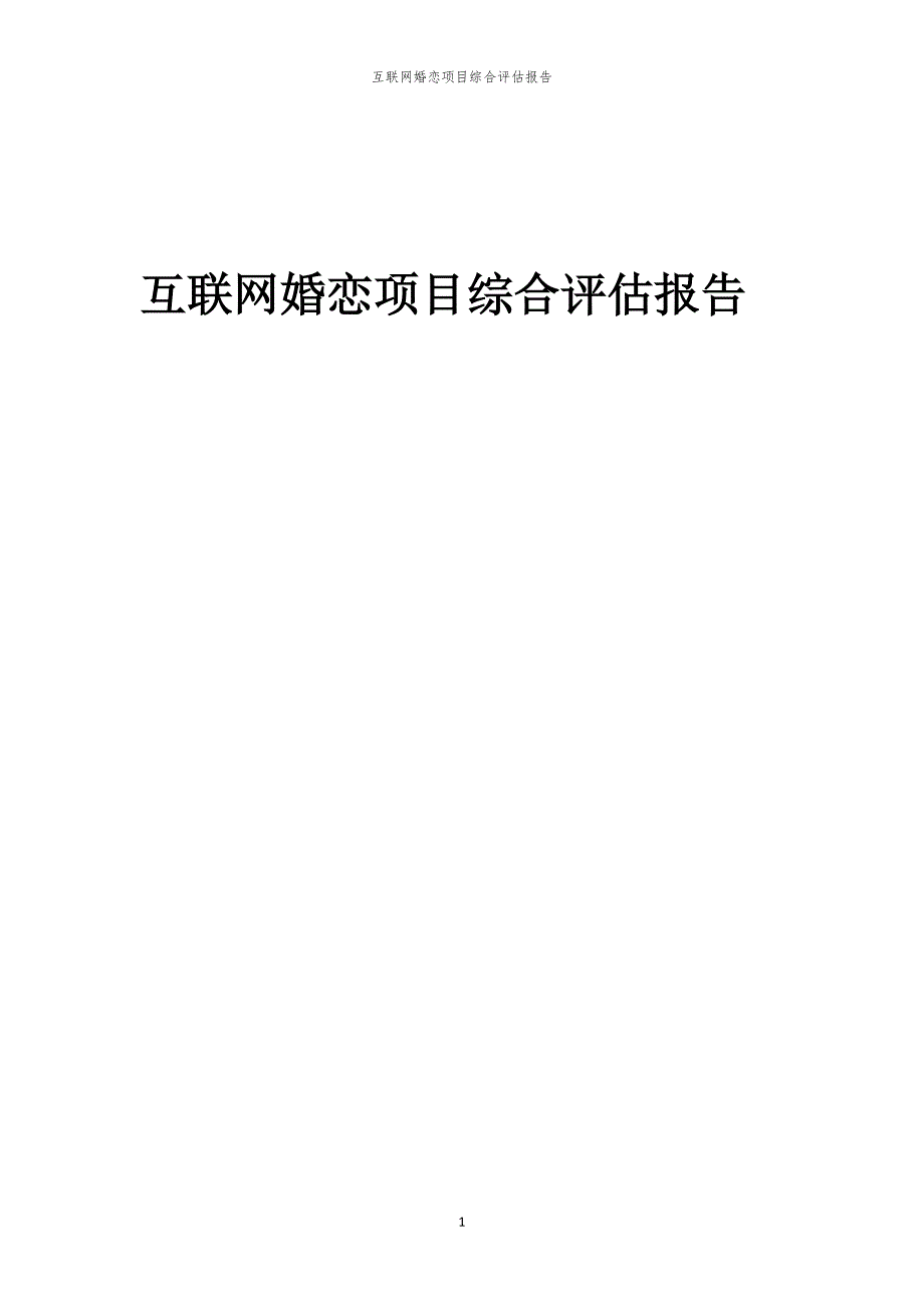 互联网婚恋项目综合评估报告_第1页