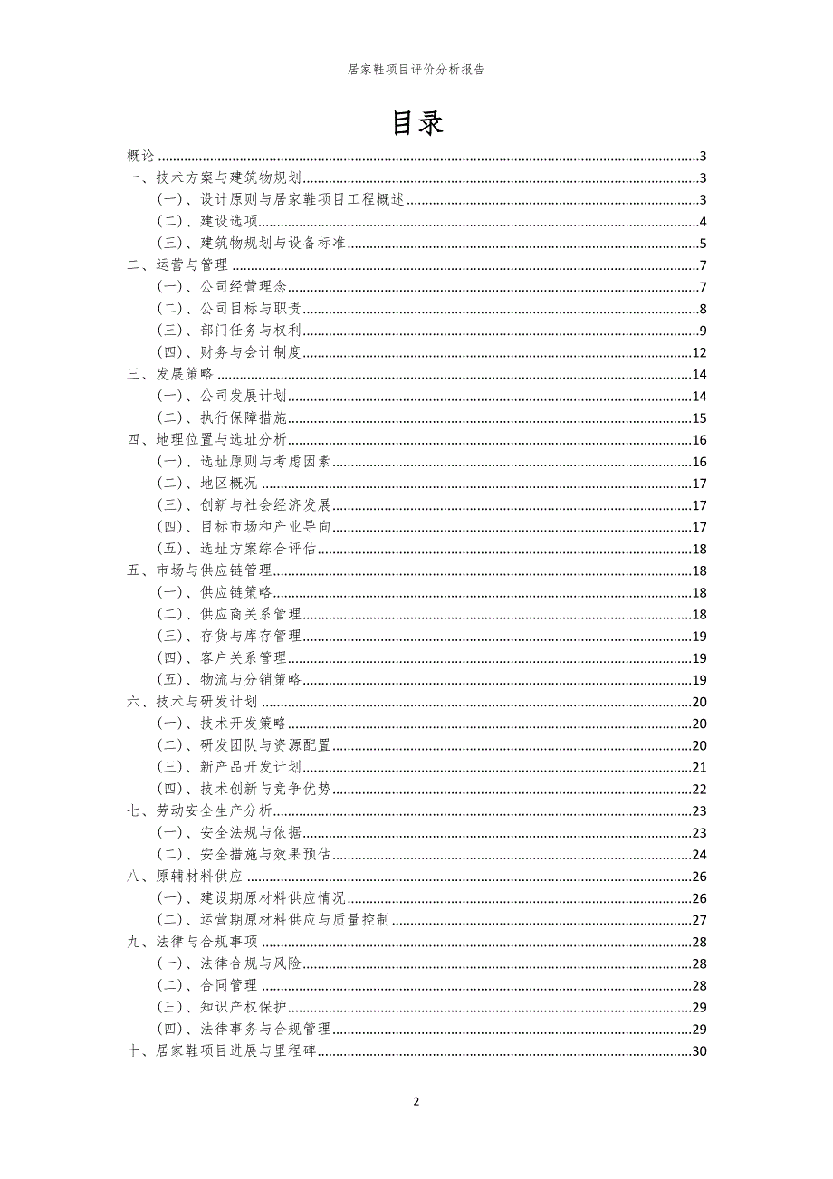 居家鞋项目评价分析报告_第2页