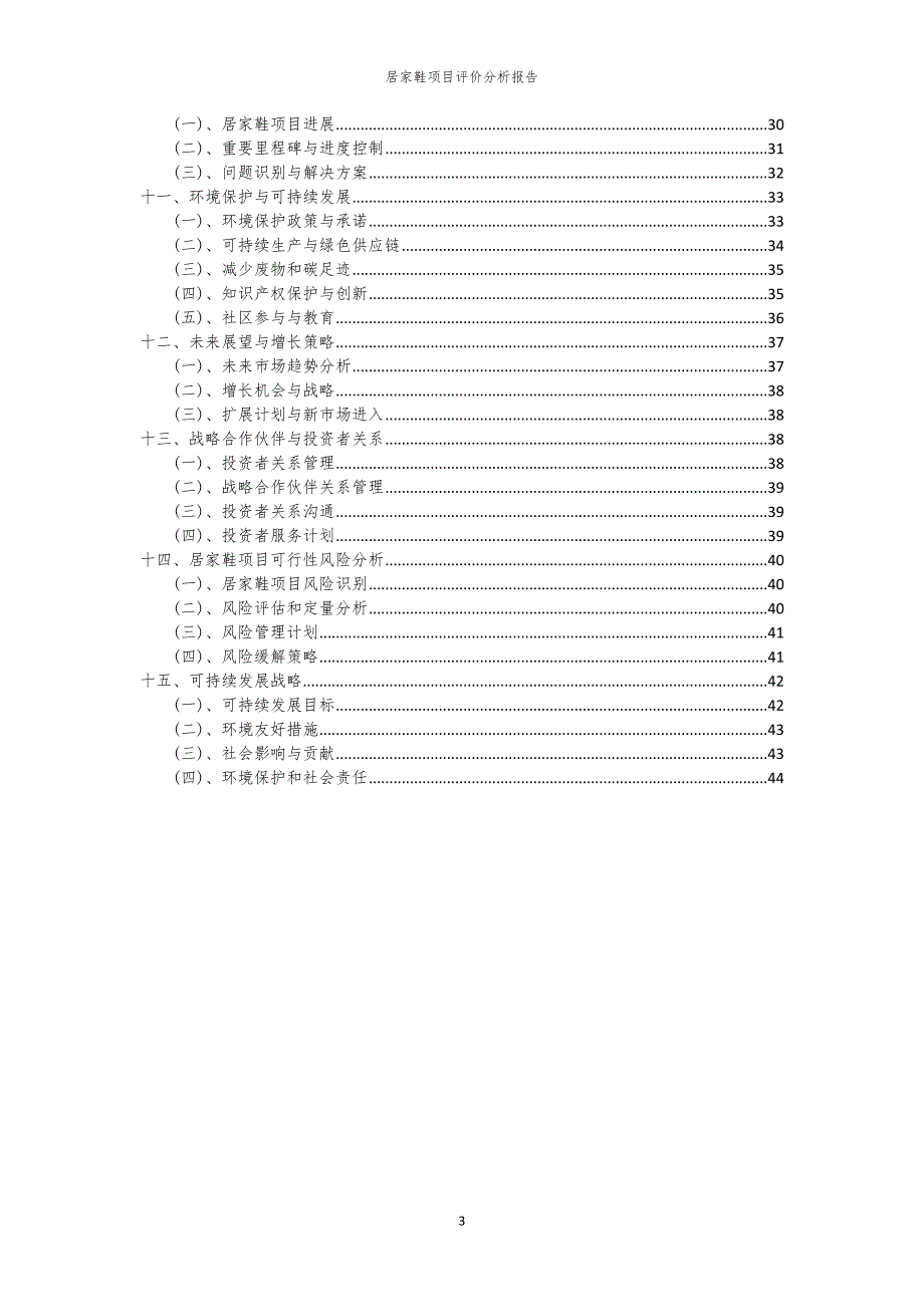 居家鞋项目评价分析报告_第3页