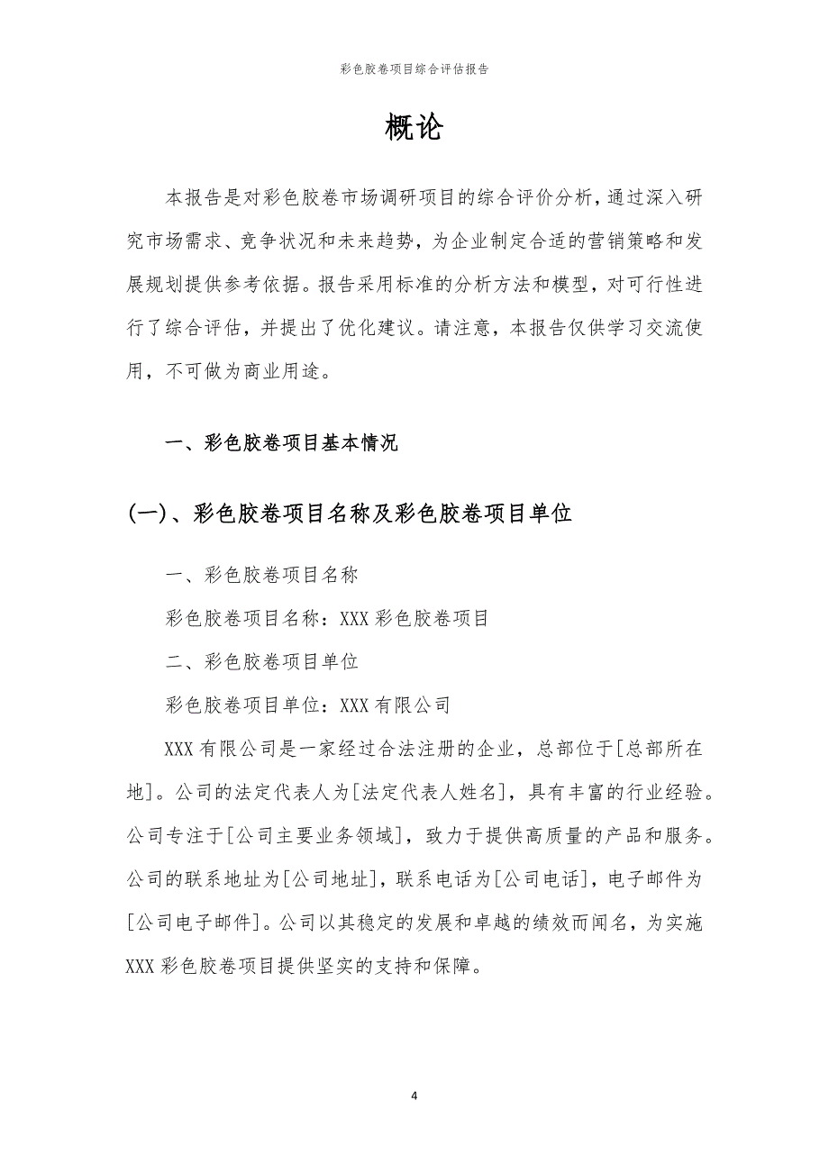 彩色胶卷项目综合评估报告_第4页