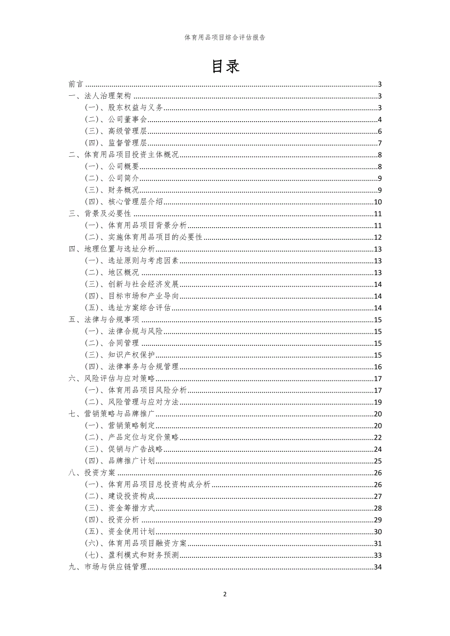 体育用品项目综合评估报告_第2页