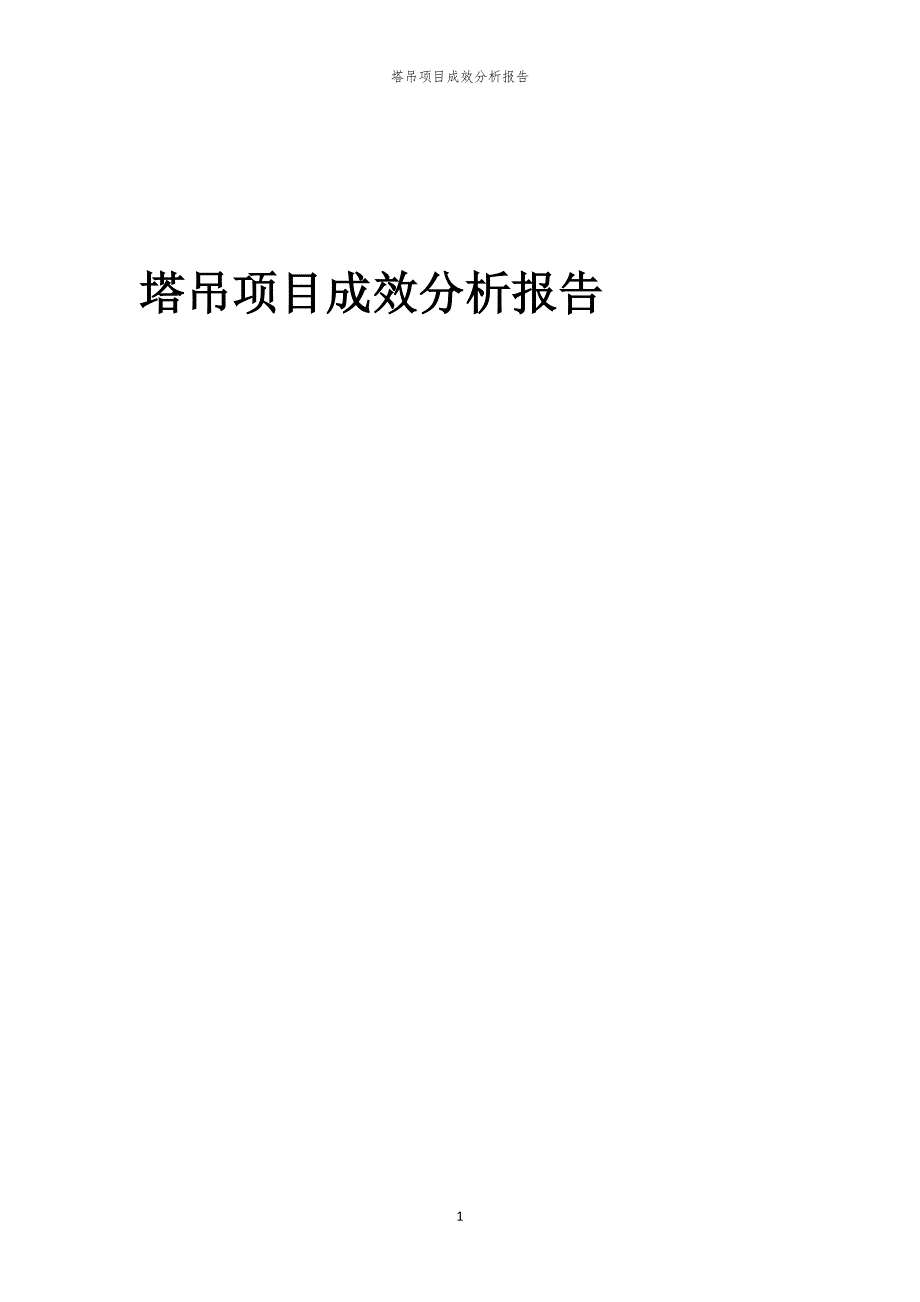 塔吊项目成效分析报告_第1页