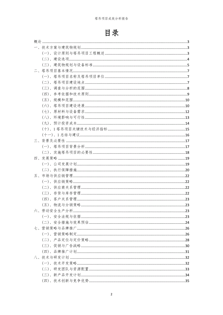 塔吊项目成效分析报告_第2页