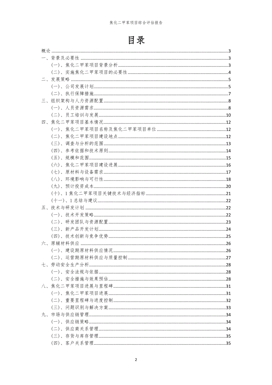 焦化二甲苯项目综合评估报告_第2页