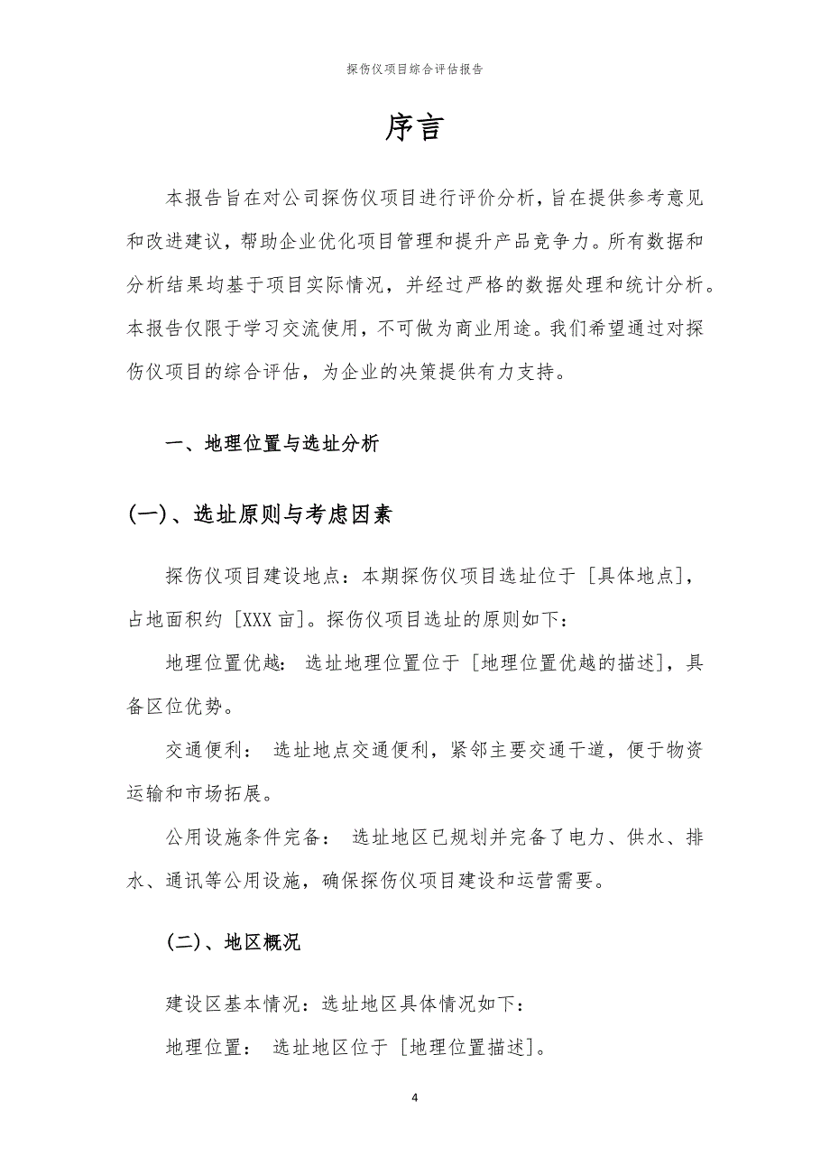 探伤仪项目综合评估报告_第4页