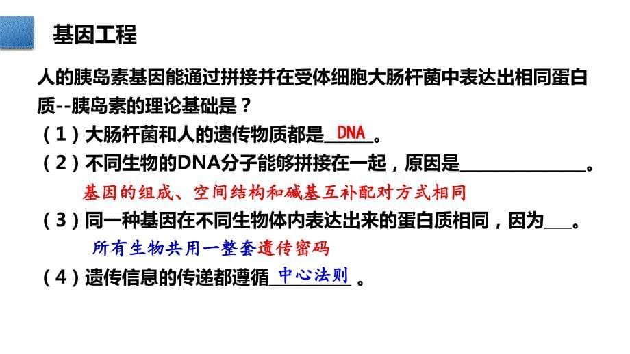 【课件】重组DNA技术的基本工具(含DNA粗提取)课件高二下学期生物人教版（2019）选择性必修3_第5页