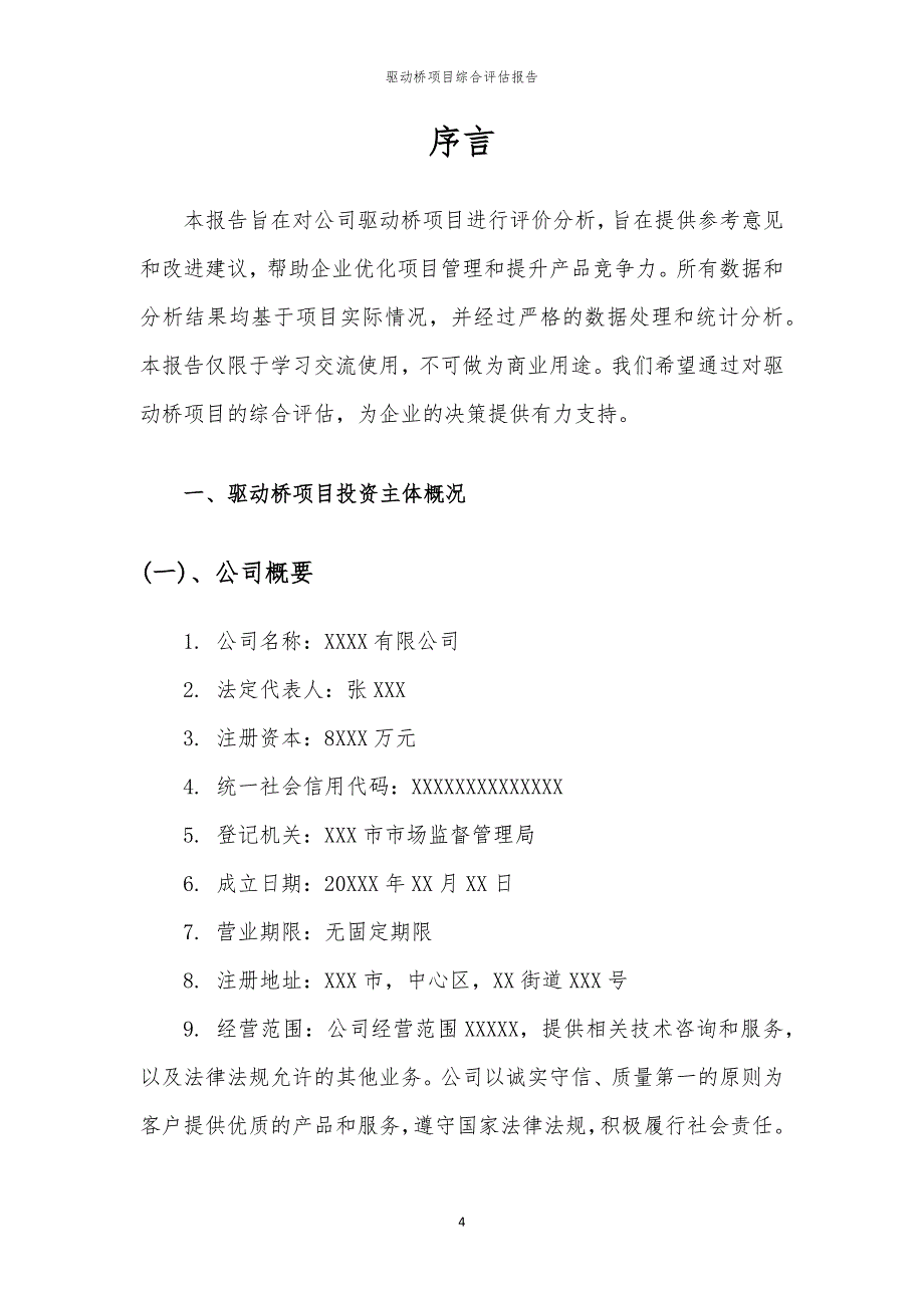 驱动桥项目综合评估报告_第4页