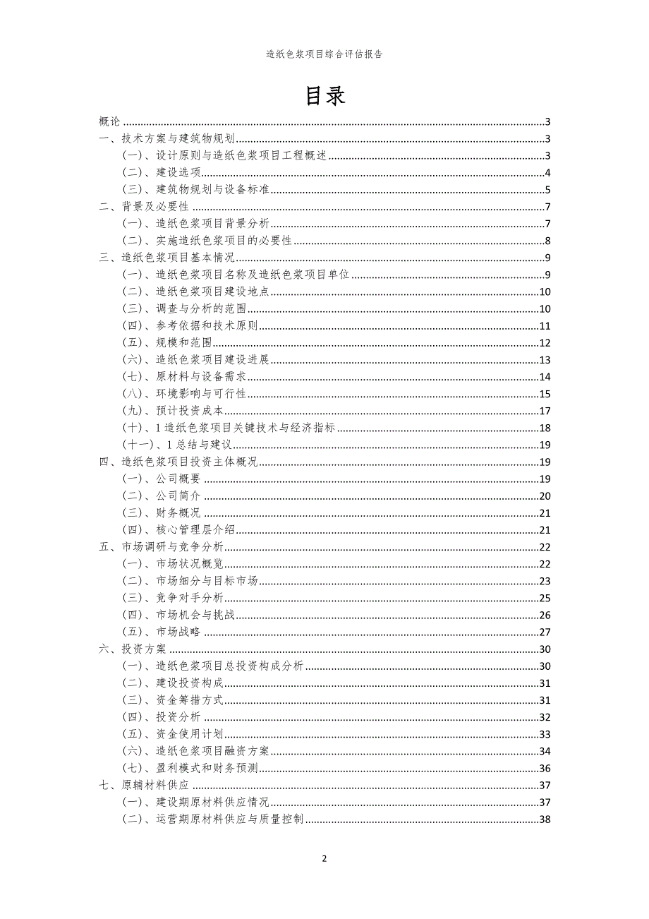 造纸色浆项目综合评估报告_第2页