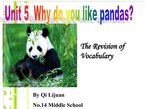 Unit-5-Why-do-you-like-pandas-